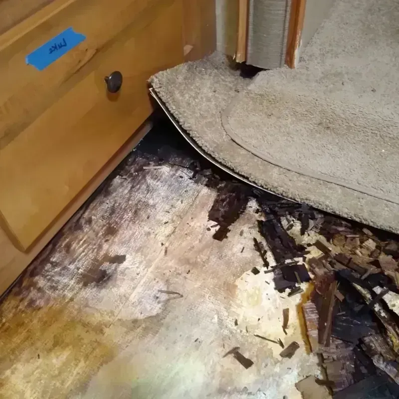 Best Wood Floor Water Damage Service in Monessen, PA